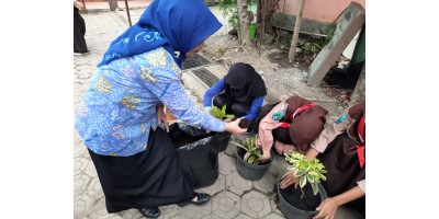 PROSES PEMBUATAN PUPUK ORGANIK
