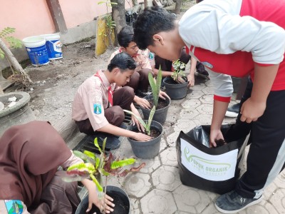 PROSES PEMBUATAN PUPUK ORGANIK